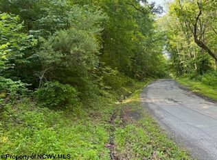 Iron Town Rd, Independence, WV 26374