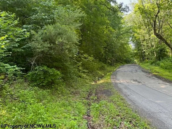 Iron Town Rd, Independence, WV 26374
