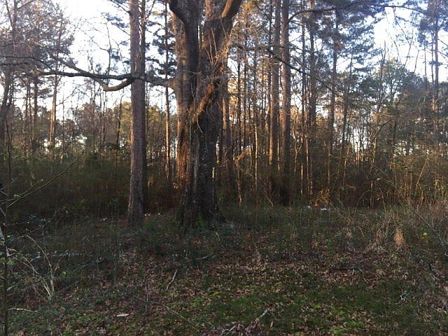 2nd image of 4048 McClain Rd