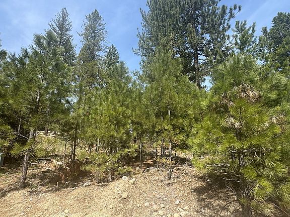 4th image of 474 Timbercrest Loop