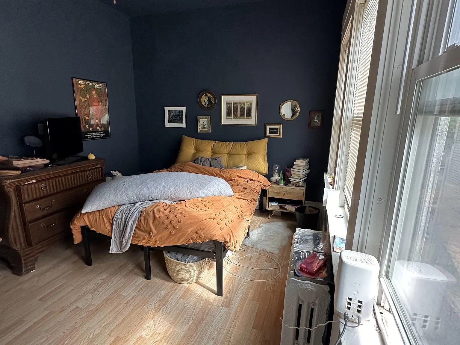 1 bed, 700 sqft, $1,250 — Photo 4