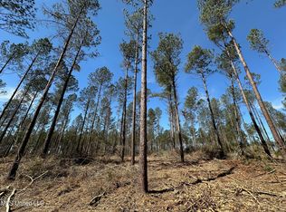 3 Highway 478, Newhebron, MS 39140