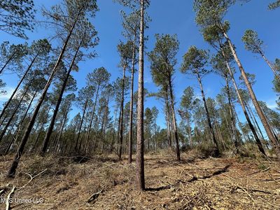 3 Highway 478, Newhebron, MS, 39140