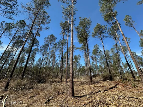 3 Highway 478, Newhebron, MS 39140