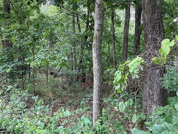 4th image of LOT 429 Arabian Dr