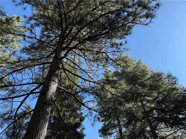 27334 Pinewood Dr, Lake Arrowhead, CA 92352