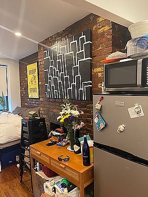 4th image of 203 Chrystie St #3C3