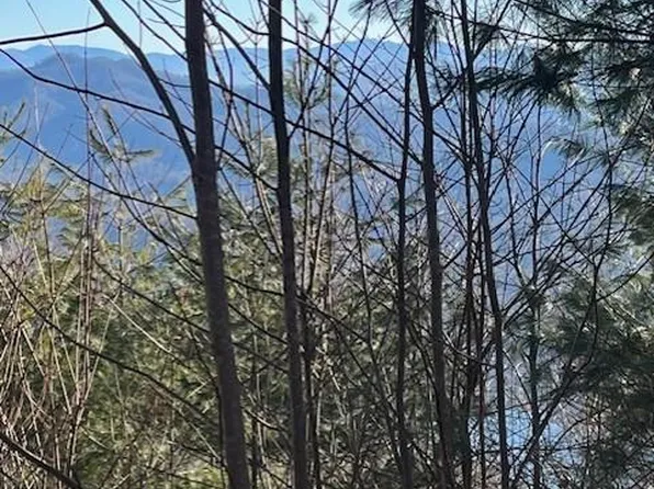 LOT 65 Fontana Trace Drive Almond Lot 65, Whittier, NC 28789