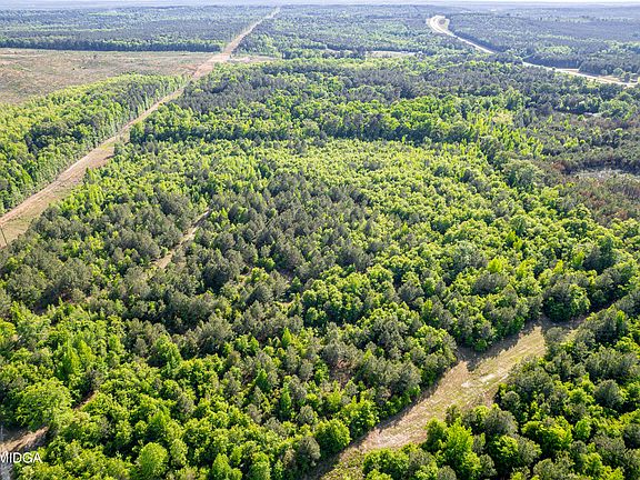 3rd image of 21701 Us Highway 441
