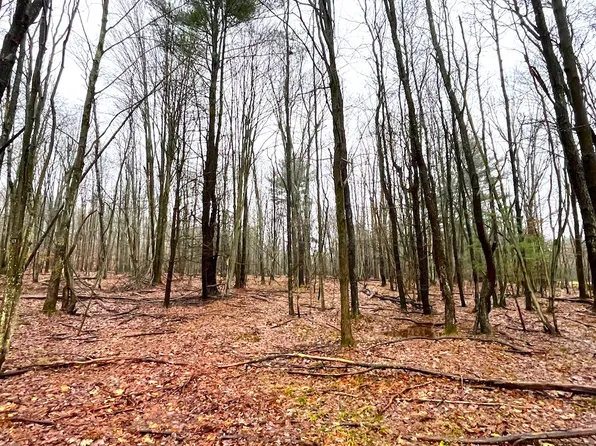 Cherry St Lot Wp001, Olean, NY 14760