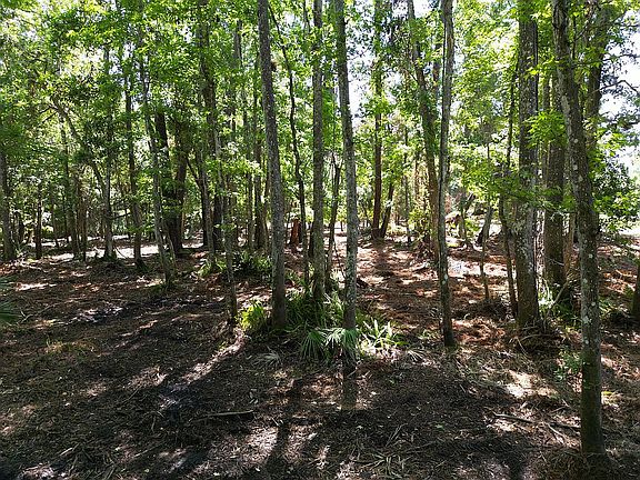 4th image of 190 County Road 207a E