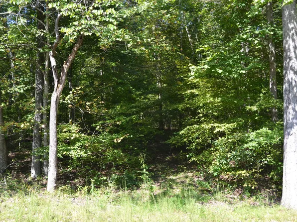 3 Rolling Mill Rd, Eddyville, KY 42038