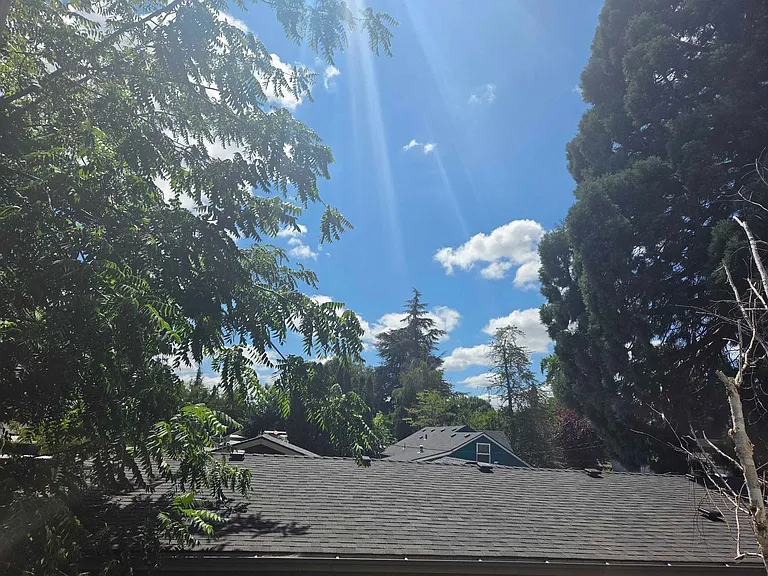 5110 10th Ave NE — Photo 11