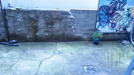 Rented by Alpha Properties NYC I LLC