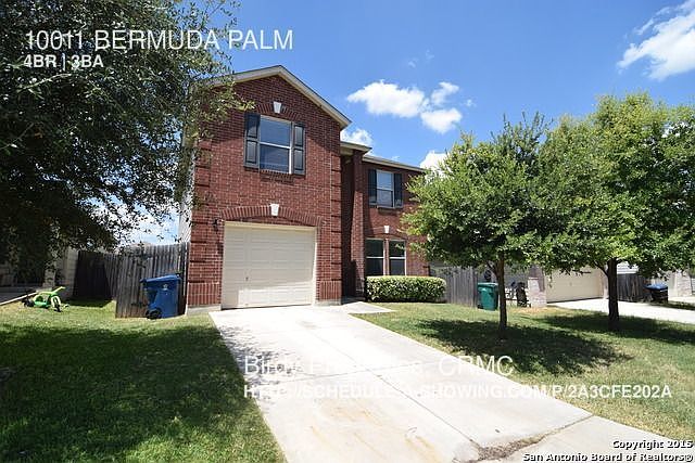 1st image of 10011 Bermuda Palm