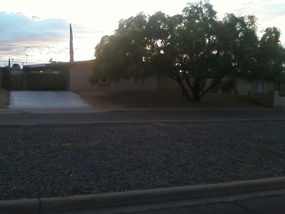 front yard