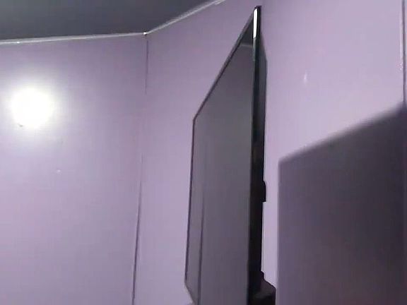 3rd image of 217 Scrub Oak Rd