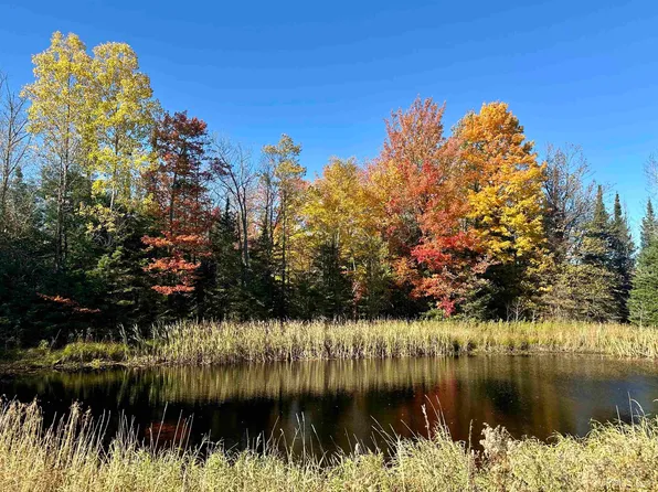 Tyner Rd, Chatham, MI 49816