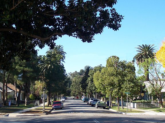 Mature Tree-Lined Street!