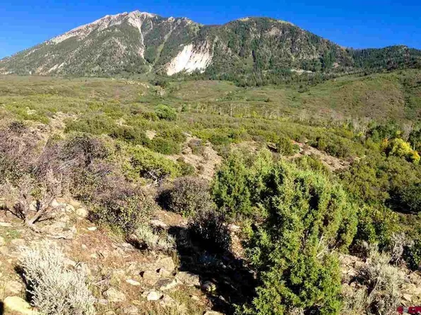TBD L50 Drive, Paonia, CO 81428