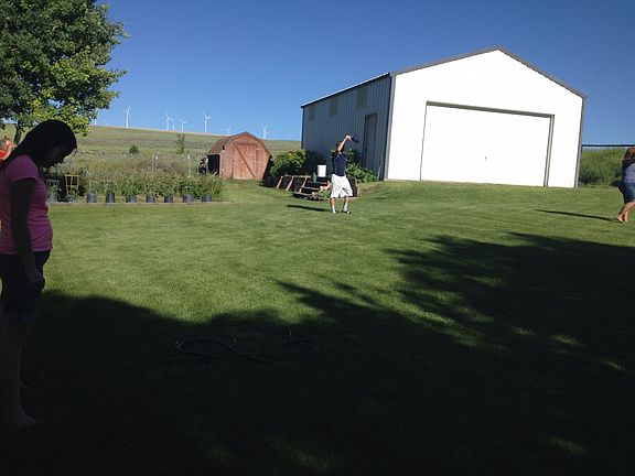 Backyard