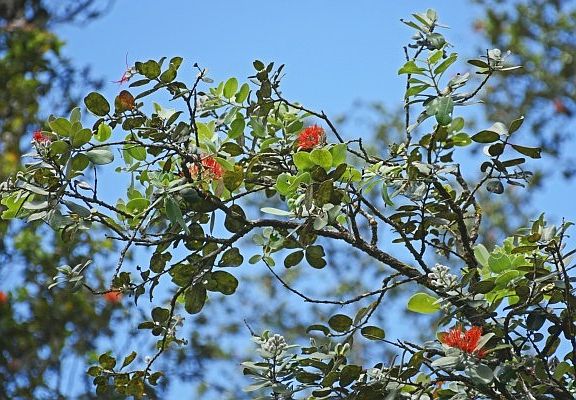 2nd image of Road 5 Lot 3820