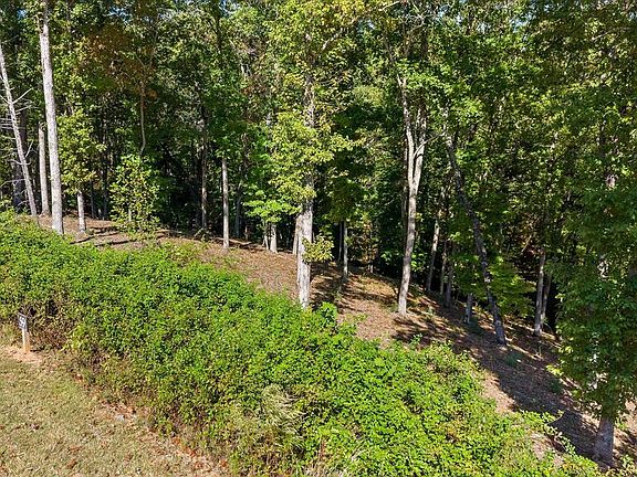 5th image of LOT 59 Ridge St