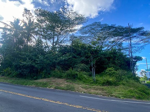 4th image of Kawakawa St Lot 21