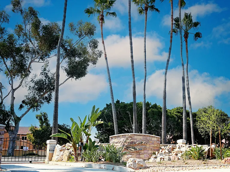 7190 Shoreline Dr #6310 — Photo 40