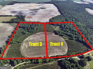 Tbd4 Cumbie Rd, Climax, GA 39834