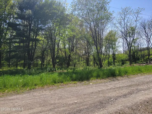 Three Springs Rd, Stillwater, PA 17878