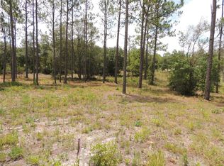 Multiple Northeast Ter #134, Williston, FL 32696
