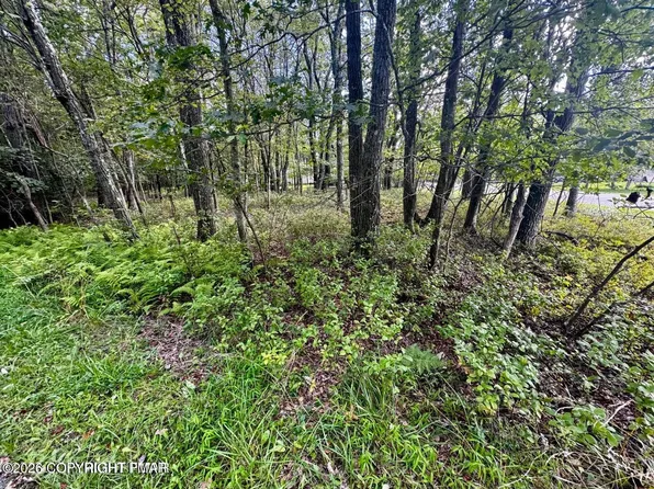 LOT-14HT Bear Ln #Jim, Jim Thorpe, PA 18229
