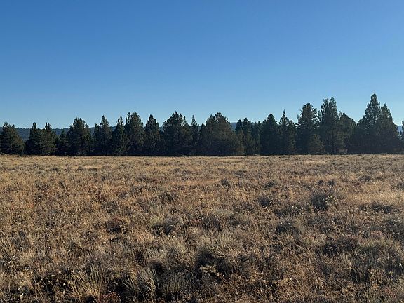 5th image of 0 Rim Dr #25