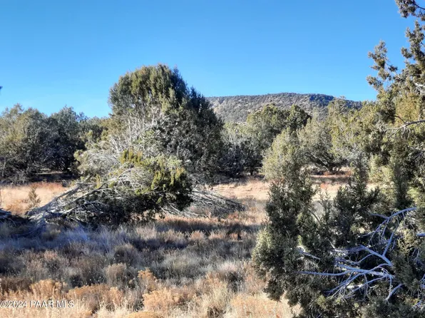 51762 N Aguila Ln, Seligman, AZ 86337