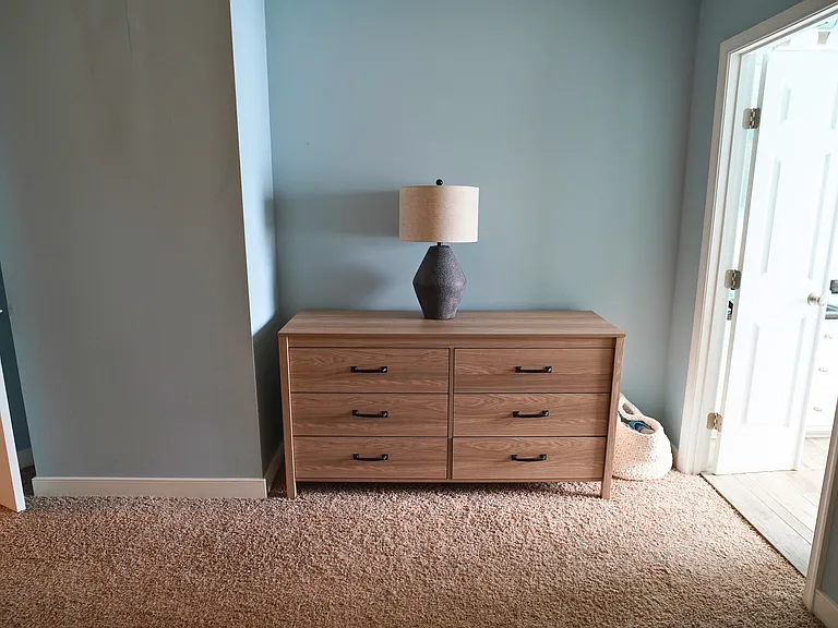 4836 Cedar Branch Ct — Photo 5