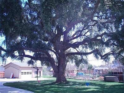 .45 Acre