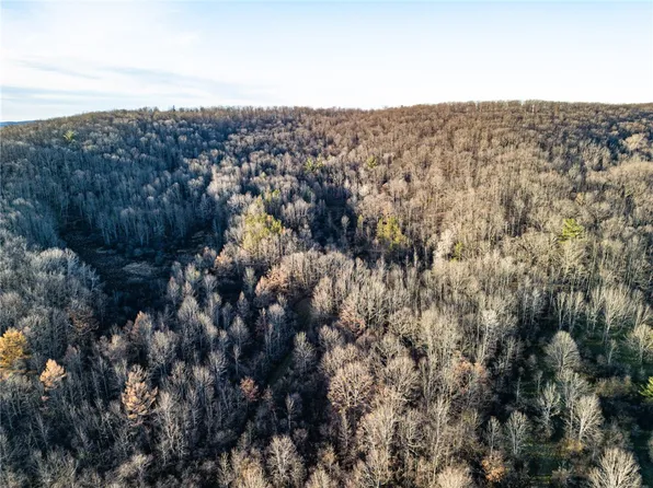 0 Ingraham Rd #6, Belmont, NY 14813