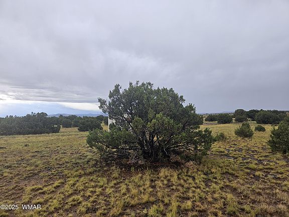 2nd image of 56 County Road 5073