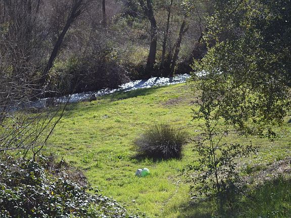 Creek view from patio