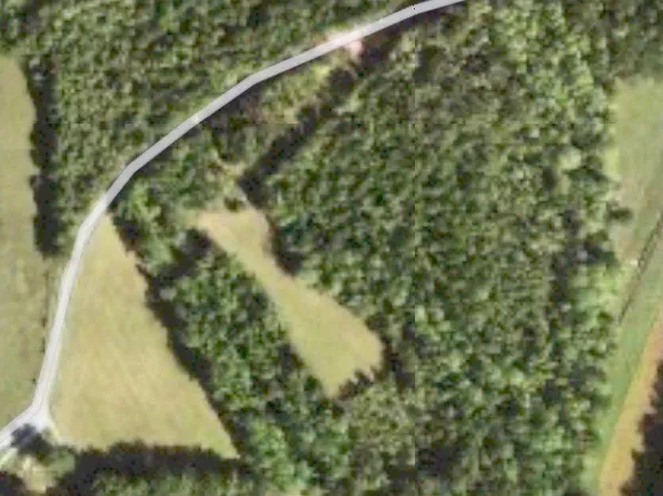 255 McBride Cemetery Rd, Sardis, TN 38371