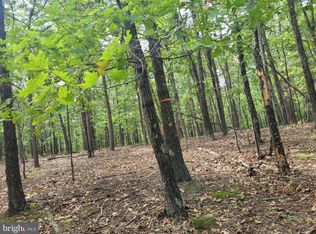 1 Cabin Run Rd, Bloomery, WV 26817