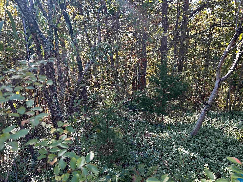 2nd image of 173 Quiet Bend Ct