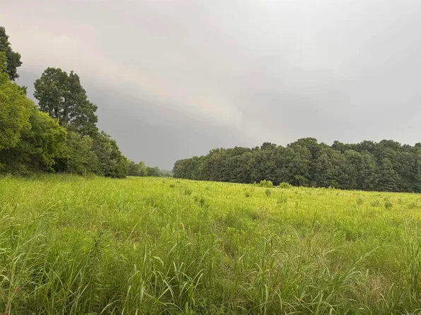 0 County Road 352, Piggott, AR 72454