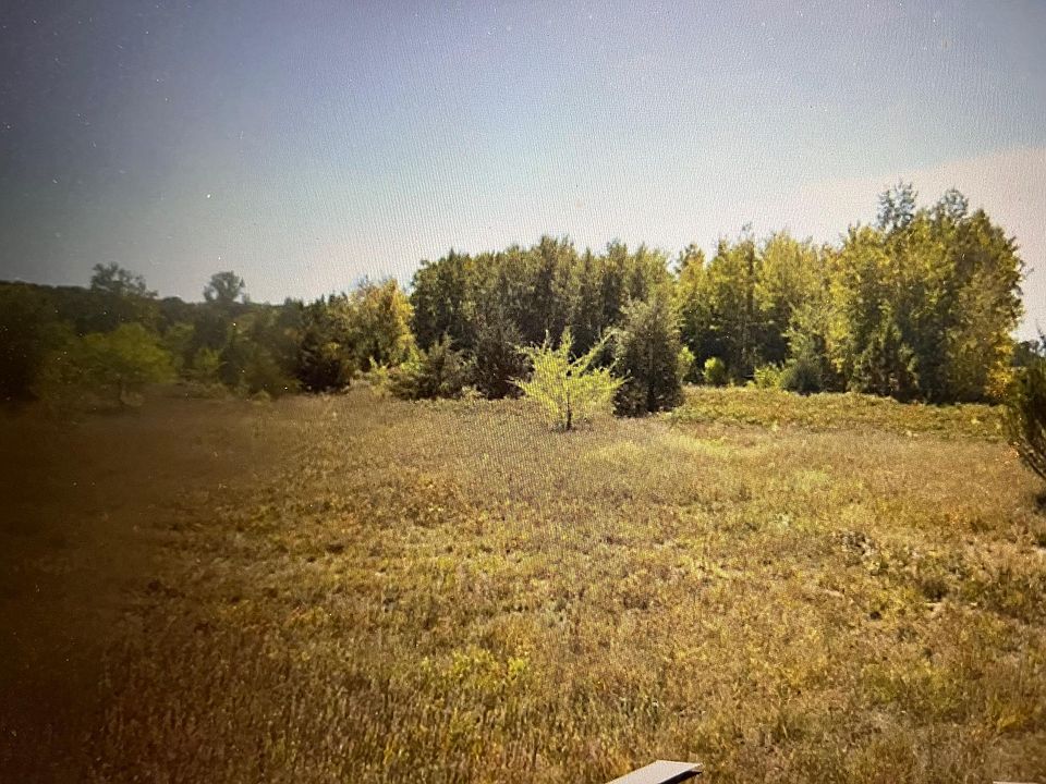 2nd image of Walkabout Ln