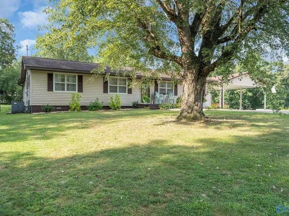 261 Sand Mountain Dr, Rainsville, AL 35986