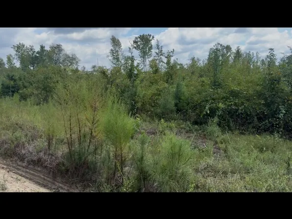 0 Peacock Way, Tennille, GA 31089