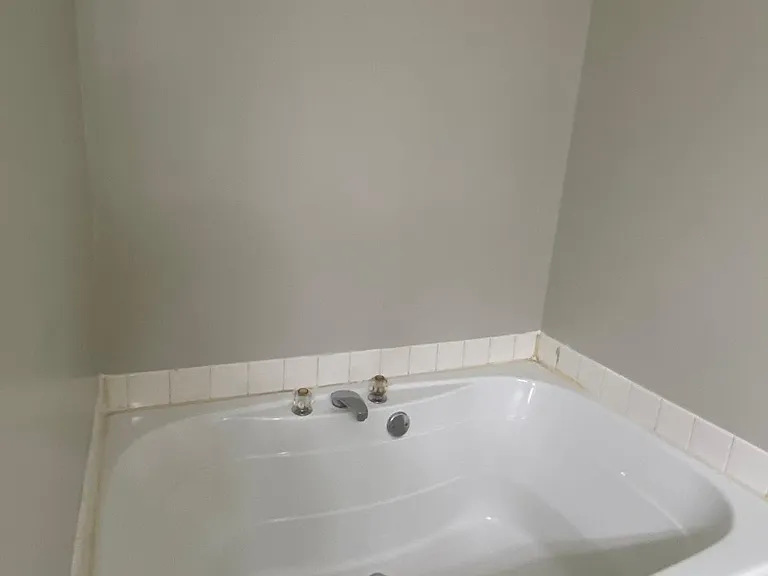 Master Tub