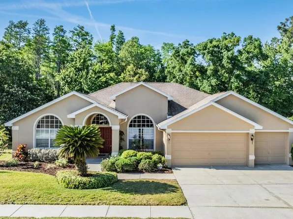 8126 TANTALLON WAY, TRINITY, FL 34655