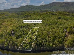 60 Lake Adger Pkwy, Mill Spring, NC 28756